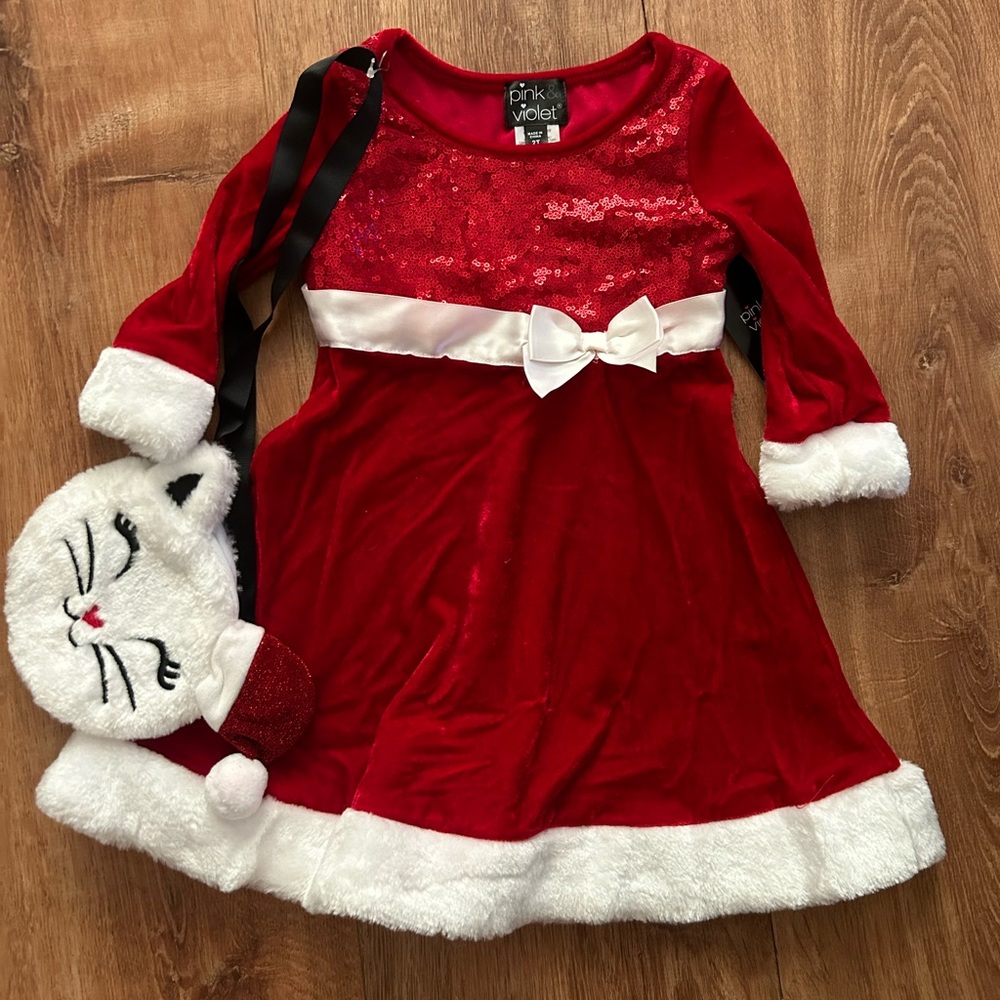 Christmas dress and matching purse